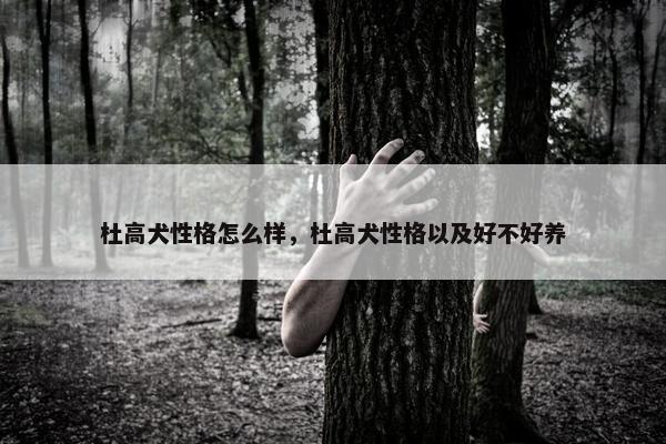 杜高犬性格怎么样，杜高犬性格以及好不好养