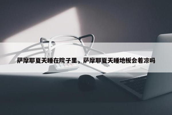 萨摩耶夏天睡在院子里，萨摩耶夏天睡地板会着凉吗