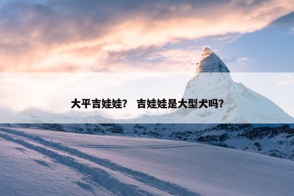 大平吉娃娃？ 吉娃娃是大型犬吗？