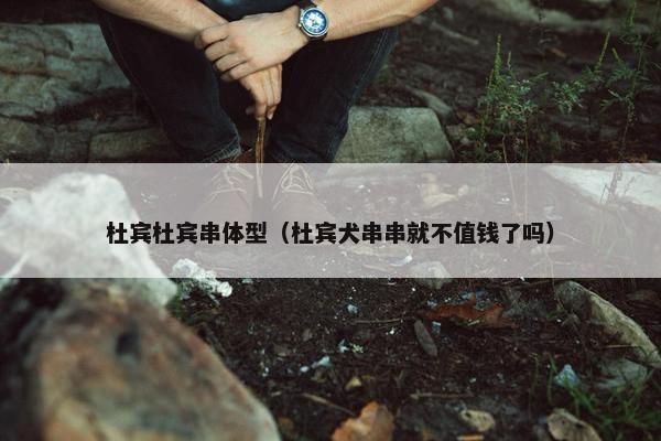 杜宾杜宾串体型（杜宾犬串串就不值钱了吗）