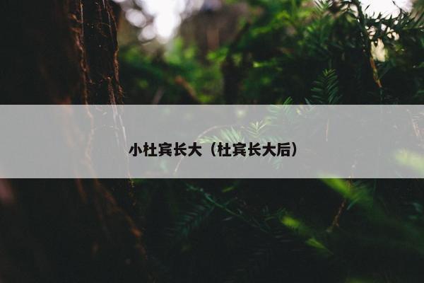 小杜宾长大（杜宾长大后）