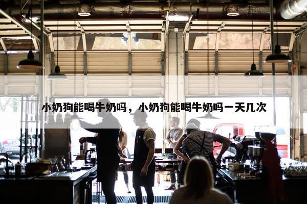 小奶狗能喝牛奶吗，小奶狗能喝牛奶吗一天几次
