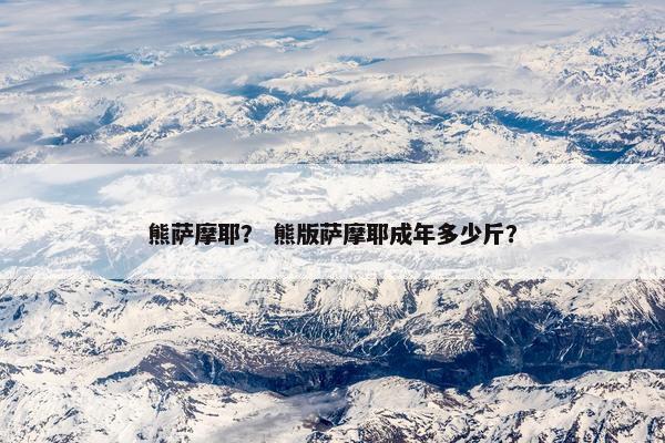 熊萨摩耶？ 熊版萨摩耶成年多少斤？
