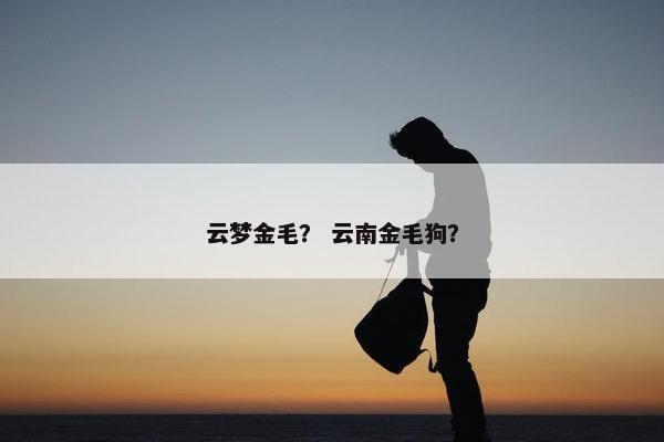 云梦金毛？ 云南金毛狗？