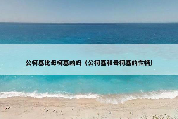 公柯基比母柯基凶吗（公柯基和母柯基的性格）