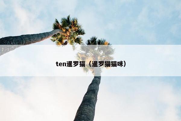 ten暹罗猫（暹罗猫猫咪）