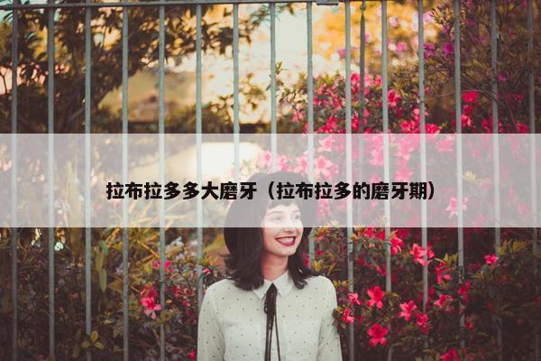 拉布拉多多大磨牙（拉布拉多的磨牙期）