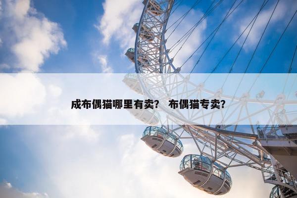 成布偶猫哪里有卖？ 布偶猫专卖？