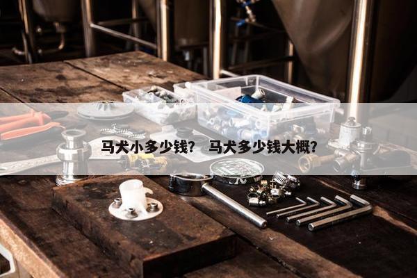 马犬小多少钱？ 马犬多少钱大概？