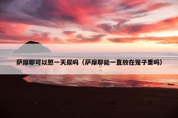 萨摩耶可以憋一天尿吗（萨摩耶能一直放在笼子里吗）