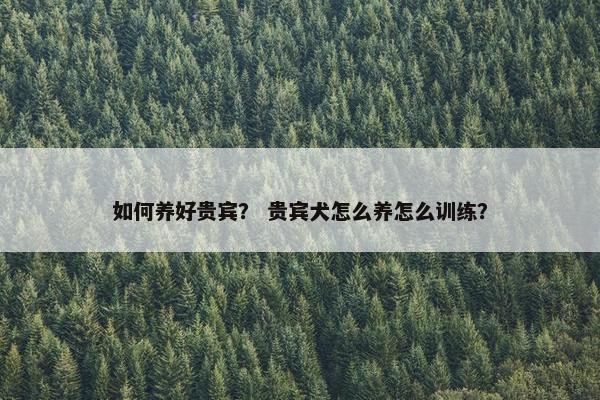 如何养好贵宾？ 贵宾犬怎么养怎么训练？