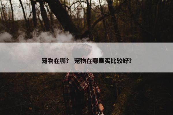 宠物在哪？ 宠物在哪里买比较好？