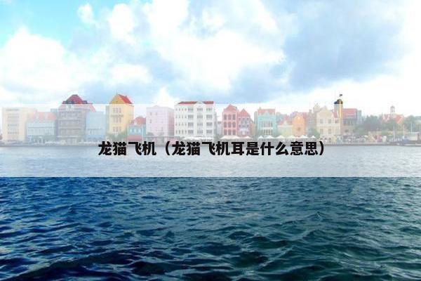 龙猫飞机（龙猫飞机耳是什么意思）