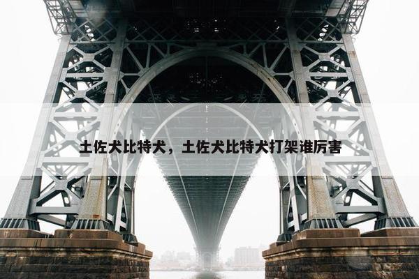 土佐犬比特犬，土佐犬比特犬打架谁厉害