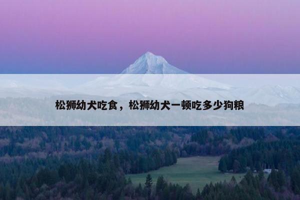 松狮幼犬吃食，松狮幼犬一顿吃多少狗粮