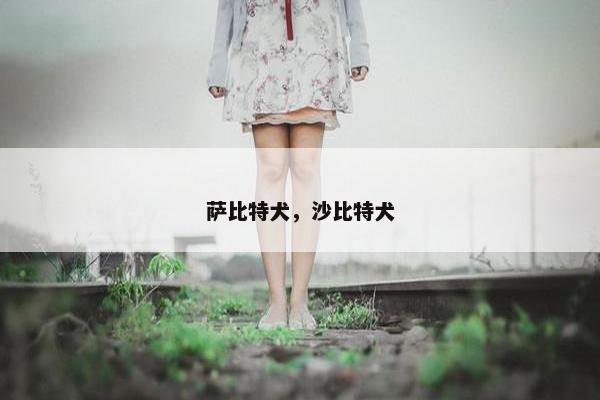萨比特犬，沙比特犬