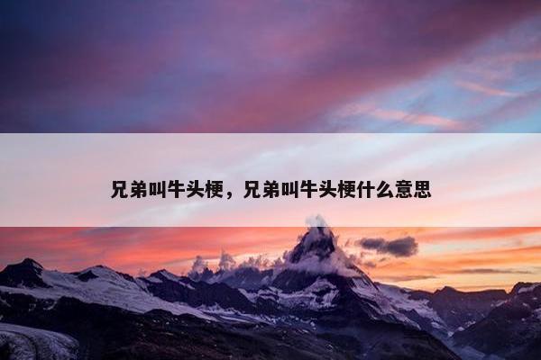 兄弟叫牛头梗，兄弟叫牛头梗什么意思