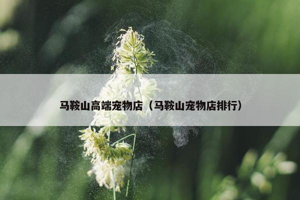 马鞍山高端宠物店（马鞍山宠物店排行）