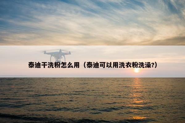 泰迪干洗粉怎么用（泰迪可以用洗衣粉洗澡?）