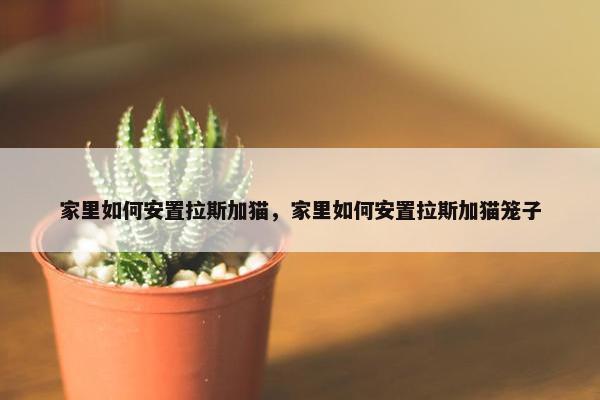 家里如何安置拉斯加猫，家里如何安置拉斯加猫笼子