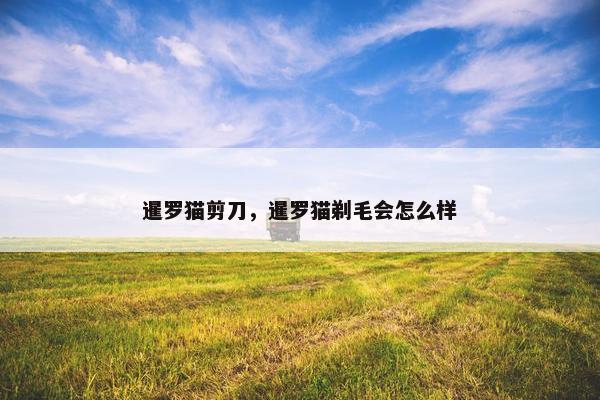 暹罗猫剪刀，暹罗猫剃毛会怎么样