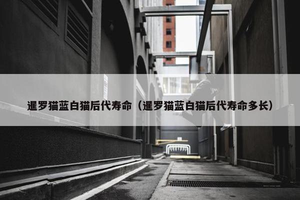 暹罗猫蓝白猫后代寿命（暹罗猫蓝白猫后代寿命多长）