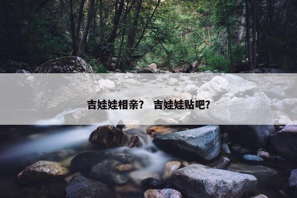 吉娃娃相亲？ 吉娃娃贴吧？