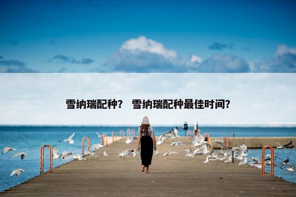 雪纳瑞配种？ 雪纳瑞配种最佳时间？