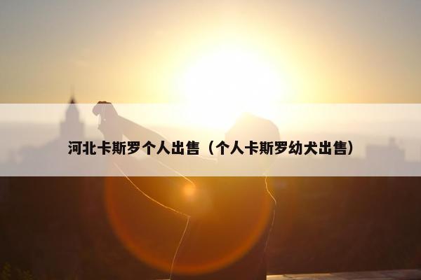 河北卡斯罗个人出售（个人卡斯罗幼犬出售）