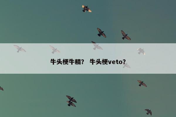 牛头梗牛精？ 牛头梗veto？