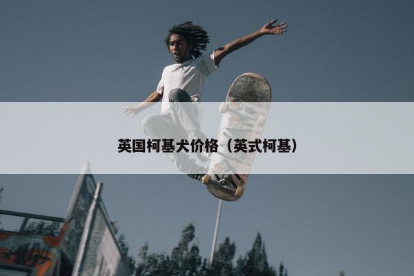 英国柯基犬价格（英式柯基）