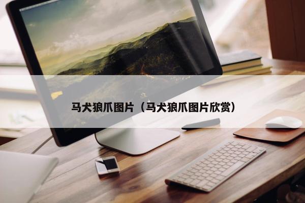 马犬狼爪图片（马犬狼爪图片欣赏）