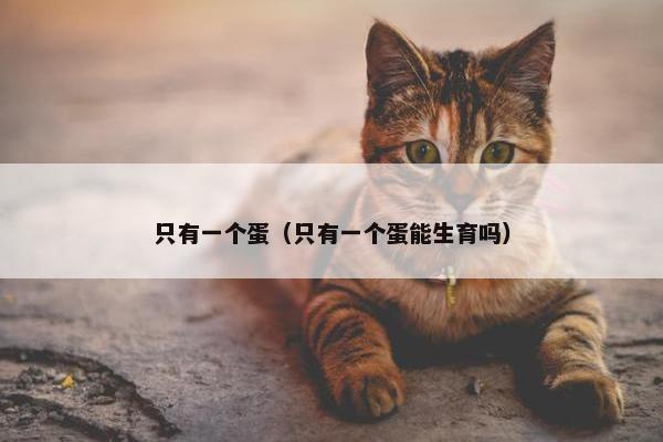 只有一个蛋（只有一个蛋能生育吗）