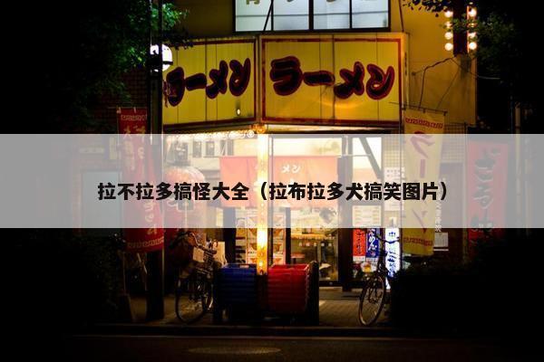 拉不拉多搞怪大全（拉布拉多犬搞笑图片）