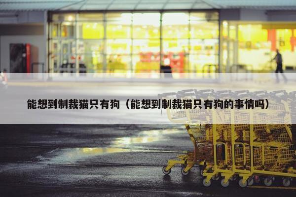 能想到制裁猫只有狗（能想到制裁猫只有狗的事情吗）