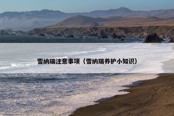 雪纳瑞注意事项（雪纳瑞养护小知识）