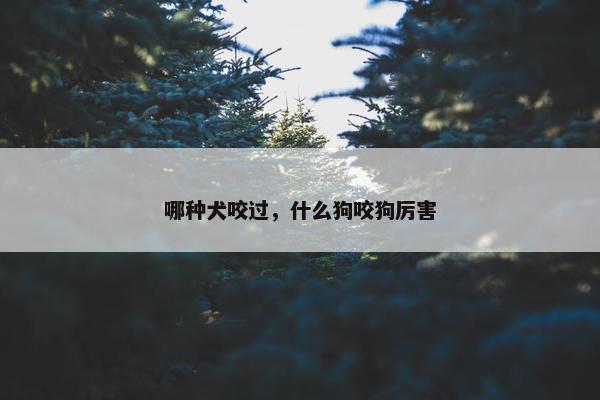 哪种犬咬过，什么狗咬狗厉害