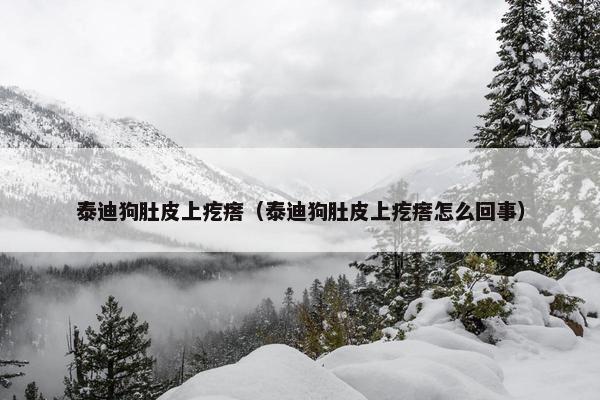 泰迪狗肚皮上疙瘩（泰迪狗肚皮上疙瘩怎么回事）
