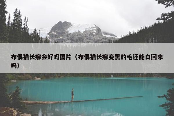 布偶猫长癣会好吗图片（布偶猫长癣变黑的毛还能白回来吗）