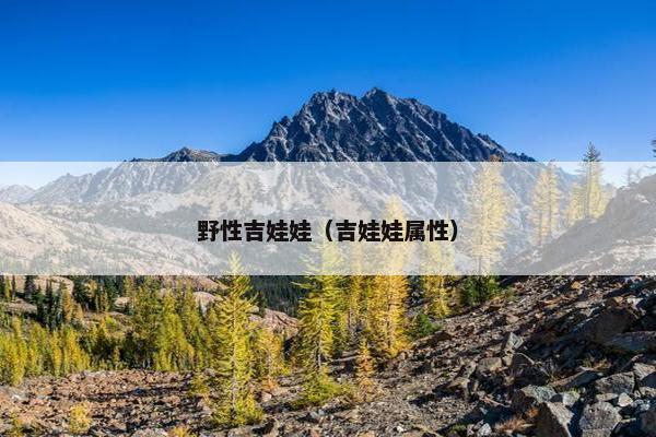 野性吉娃娃（吉娃娃属性）