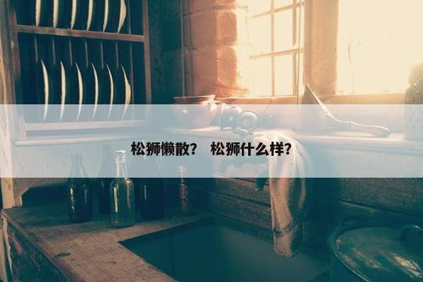 松狮懒散？ 松狮什么样？