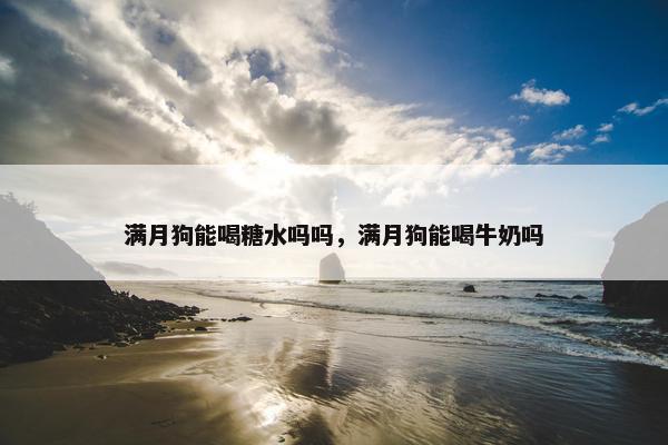满月狗能喝糖水吗吗，满月狗能喝牛奶吗