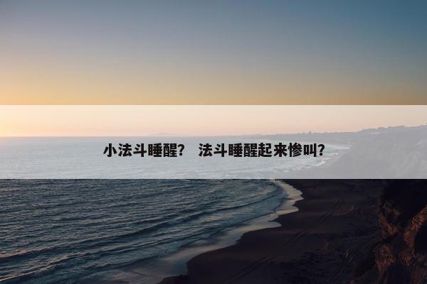 小法斗睡醒？ 法斗睡醒起来惨叫？