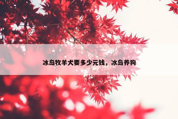 冰岛牧羊犬要多少元钱，冰岛养狗