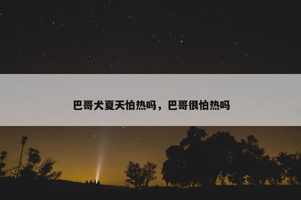 巴哥犬夏天怕热吗，巴哥很怕热吗