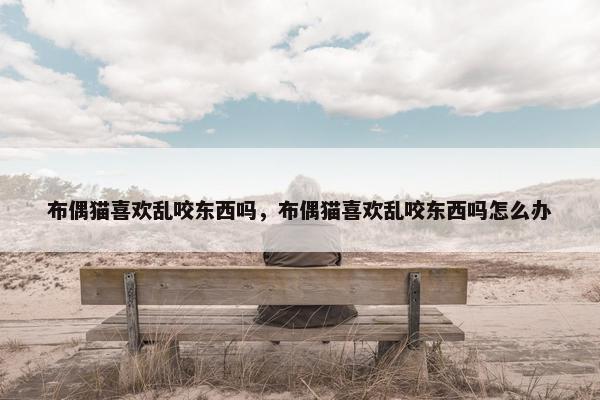 布偶猫喜欢乱咬东西吗，布偶猫喜欢乱咬东西吗怎么办