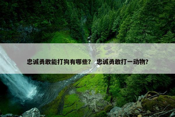 忠诚勇敢能打狗有哪些？ 忠诚勇敢打一动物？