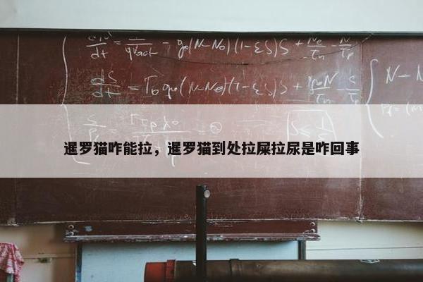 暹罗猫咋能拉，暹罗猫到处拉屎拉尿是咋回事