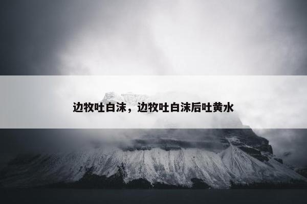 边牧吐白沫，边牧吐白沫后吐黄水
