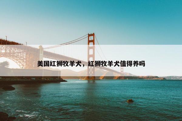 美国红狮牧羊犬，红狮牧羊犬值得养吗